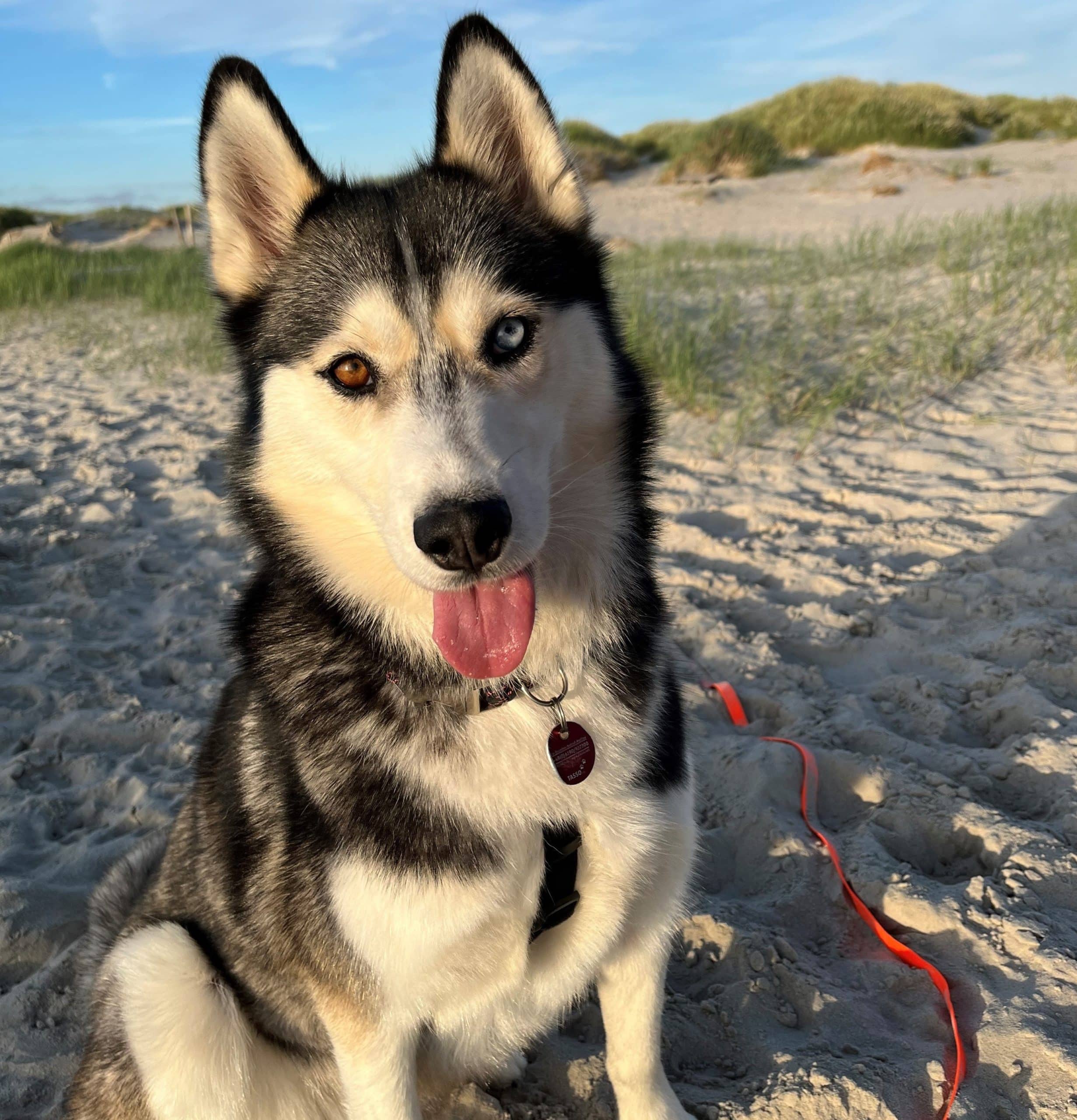 Luna